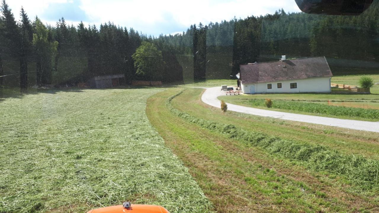 Ferienhaus Buxbaum Arbesbach ภายนอก รูปภาพ