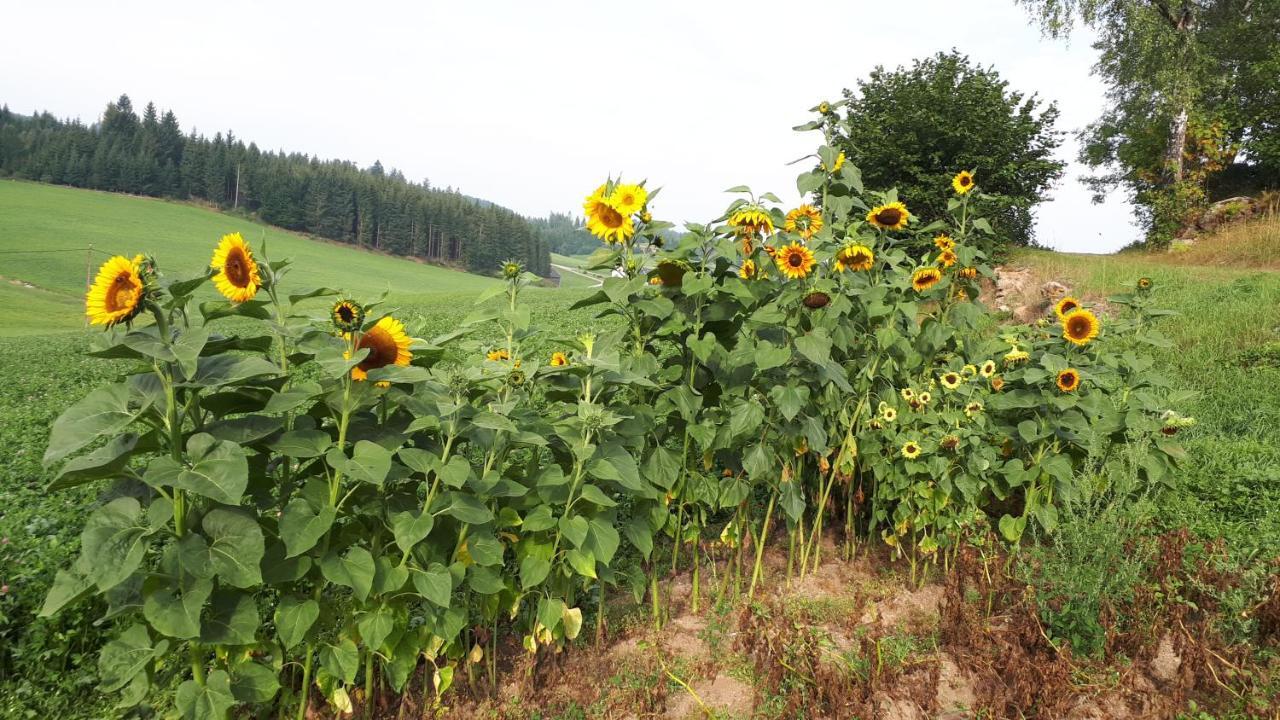 Ferienhaus Buxbaum Arbesbach ภายนอก รูปภาพ